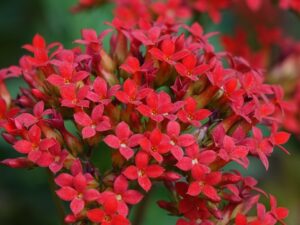 スワドルを使うタイミングはいつがベスト？