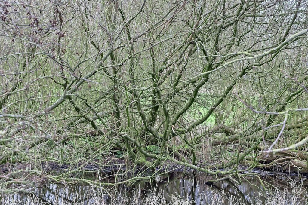 1歳の夜泣きの原因は何ですか？