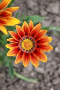 スワドルに慣れるまでの赤ちゃんの快適な過ごし方は？