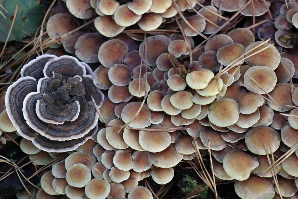 夜泣きに悩むワンオペママ必見の対処法は？