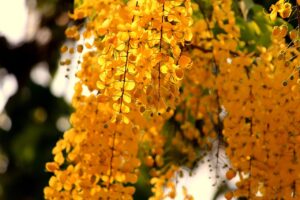 スワドルが赤ちゃんの成長を妨げる原因とは？