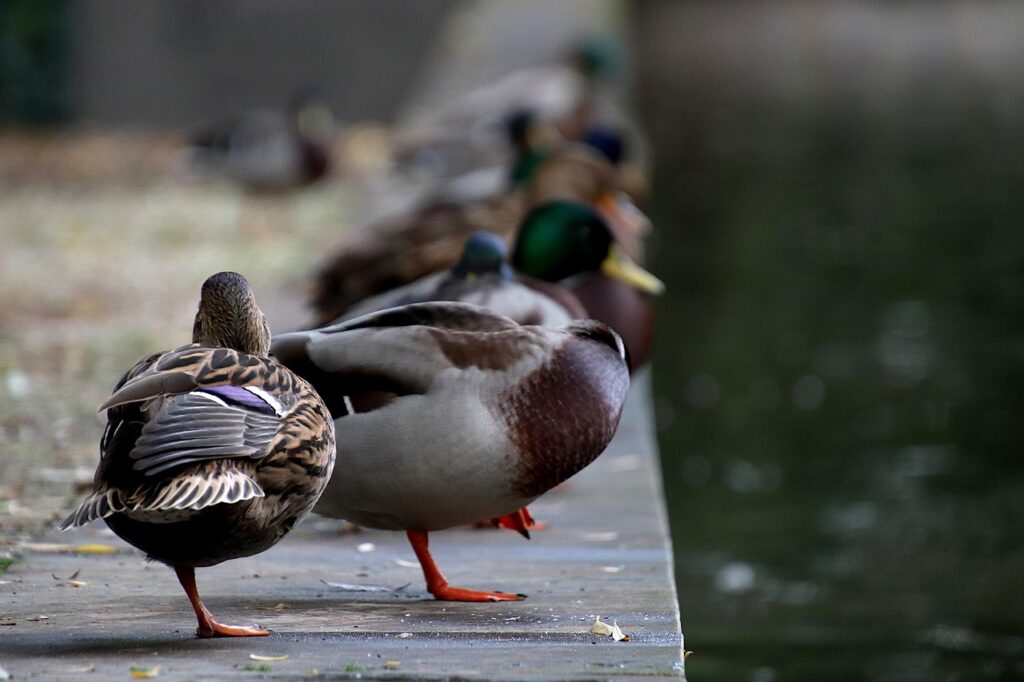 夜泣きが気になる子どもが保育園に通い始める際の対策は？