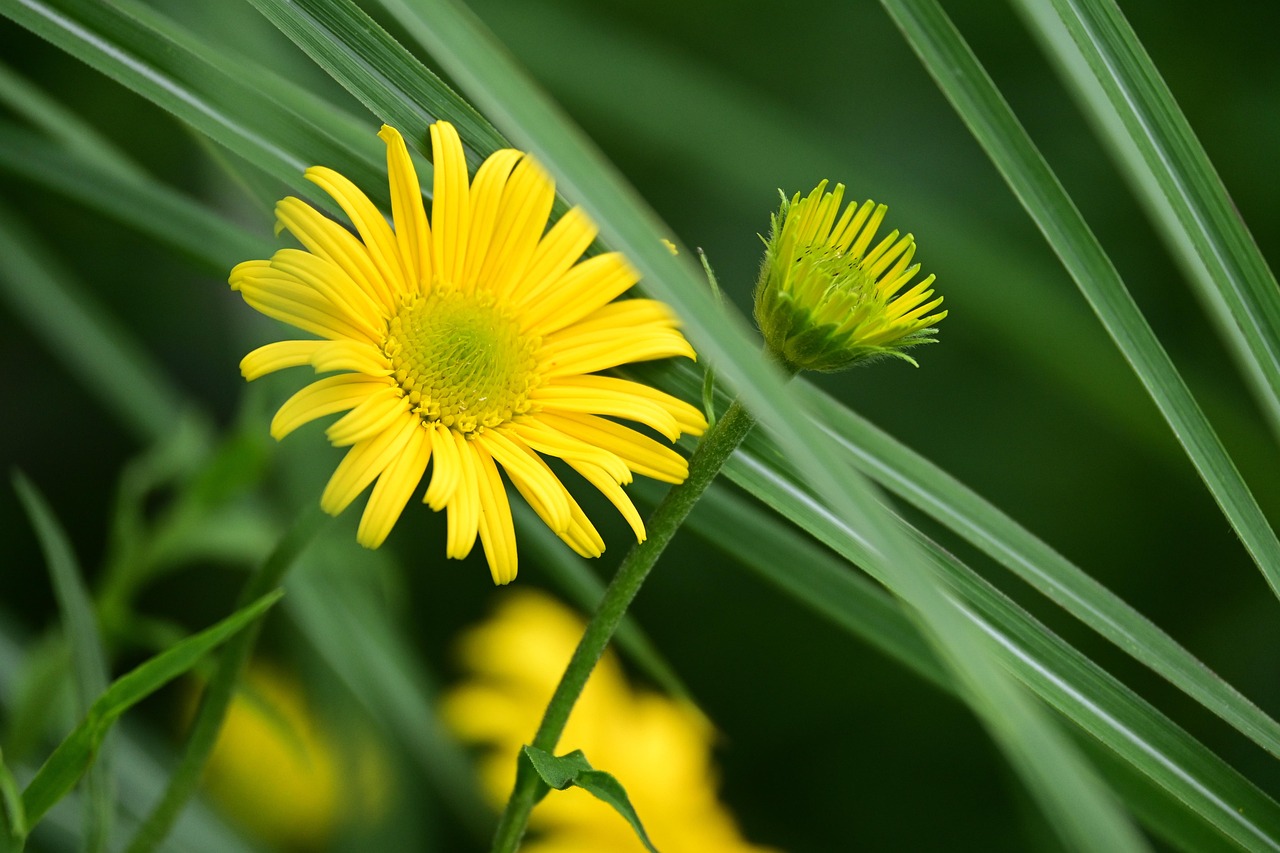 夜泣きについてどこに相談すれば良いのか？