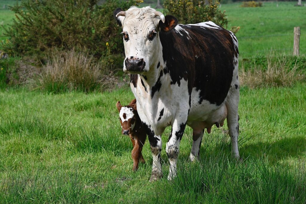 夜泣き卒乳後に赤ちゃんが増えた理由とは？