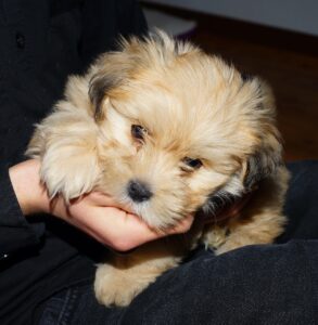 産後2ヶ月での夜泣き対策はどうすればいい？