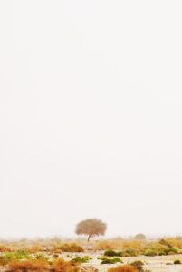 5ヶ月の赤ちゃんの夜泣き対策にはどんな方法がある？