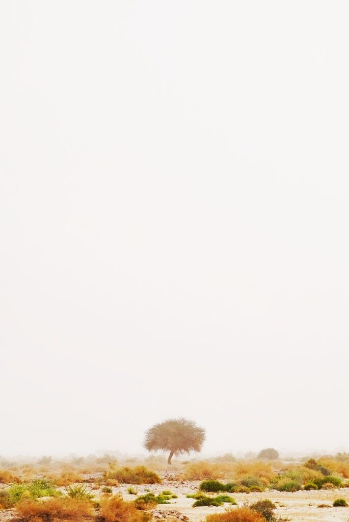 5ヶ月の赤ちゃんの夜泣き対策にはどんな方法がある？