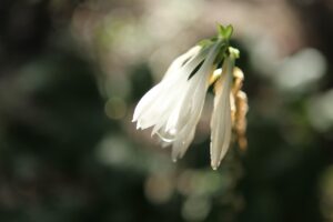 9ヶ月の夜泣きは成長の証？その原因と対策とは？