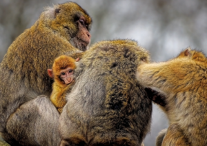 夜間断乳でひどい泣きが続く場合の対処法は？