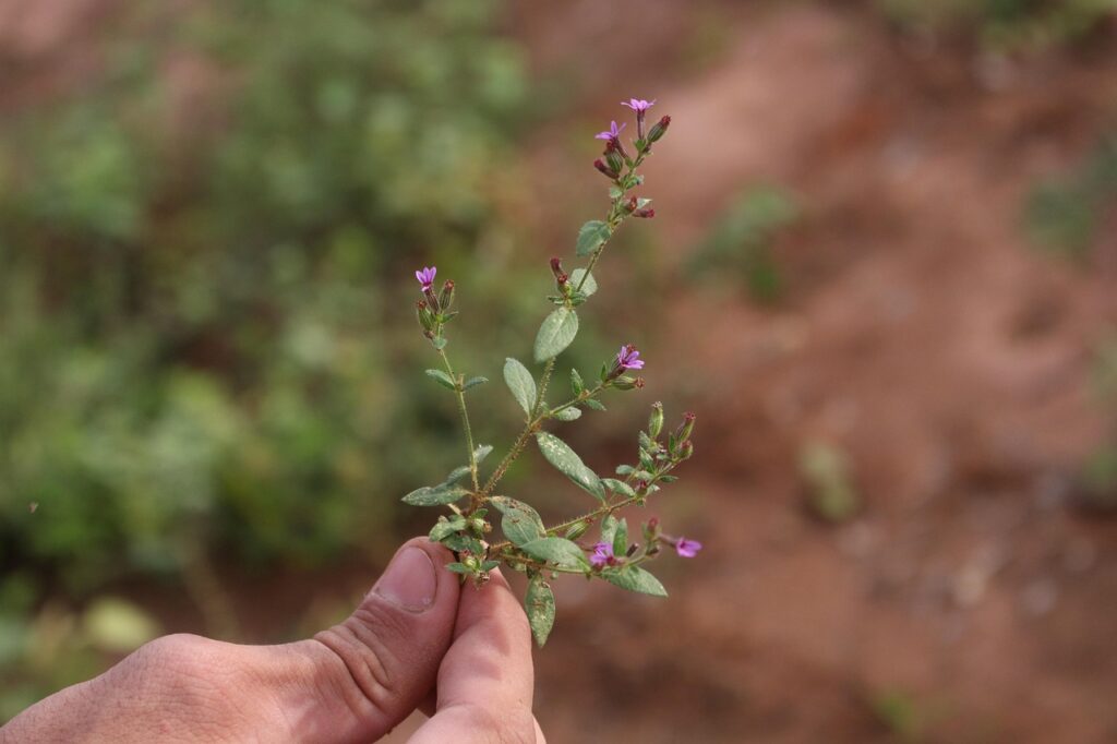 寝かしつけに役立つ生活習慣を整える方法は？