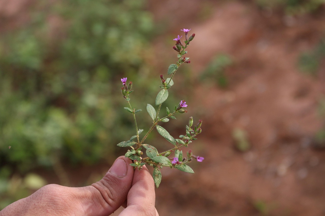 寝かしつけに役立つ生活習慣を整える方法は？