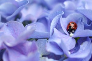 優しいねんトレの効果的な方法は？