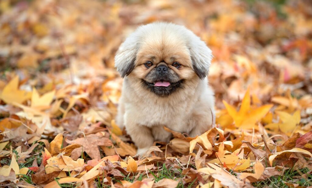 夜泣きはいつ終わるのか？その原因と対策を徹底解説！