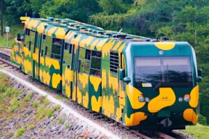 歯が生え始める時期とその影響について知っておくべきことは？