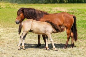 育児のストレスが限界に達したときの対処法は？